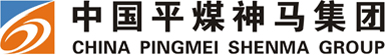中国平煤神马能源化工集团有限公司坑口电厂清洁生产审核通过评审验收